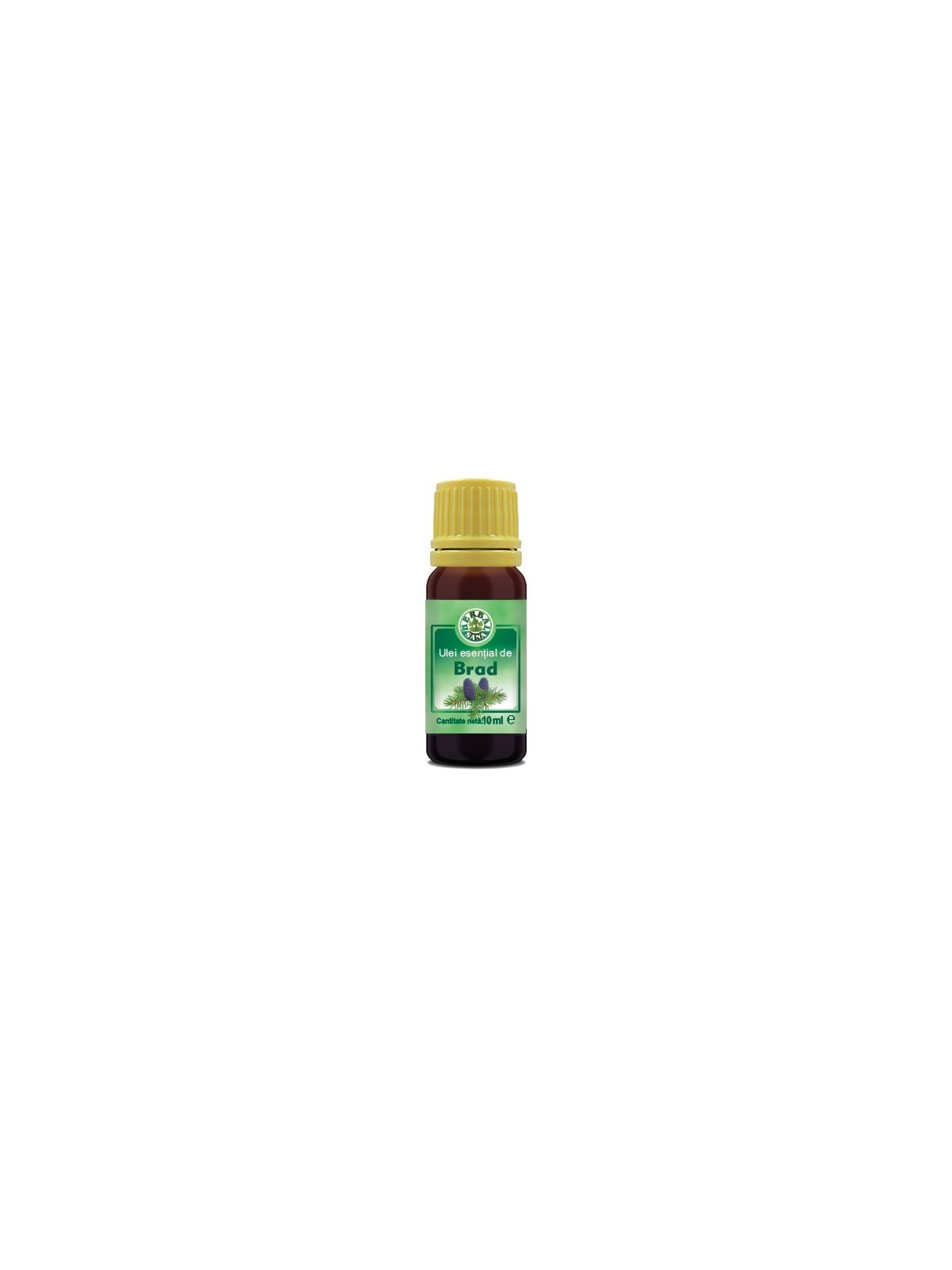 ULEI ESENȚIAL DE BRAD - 10ML